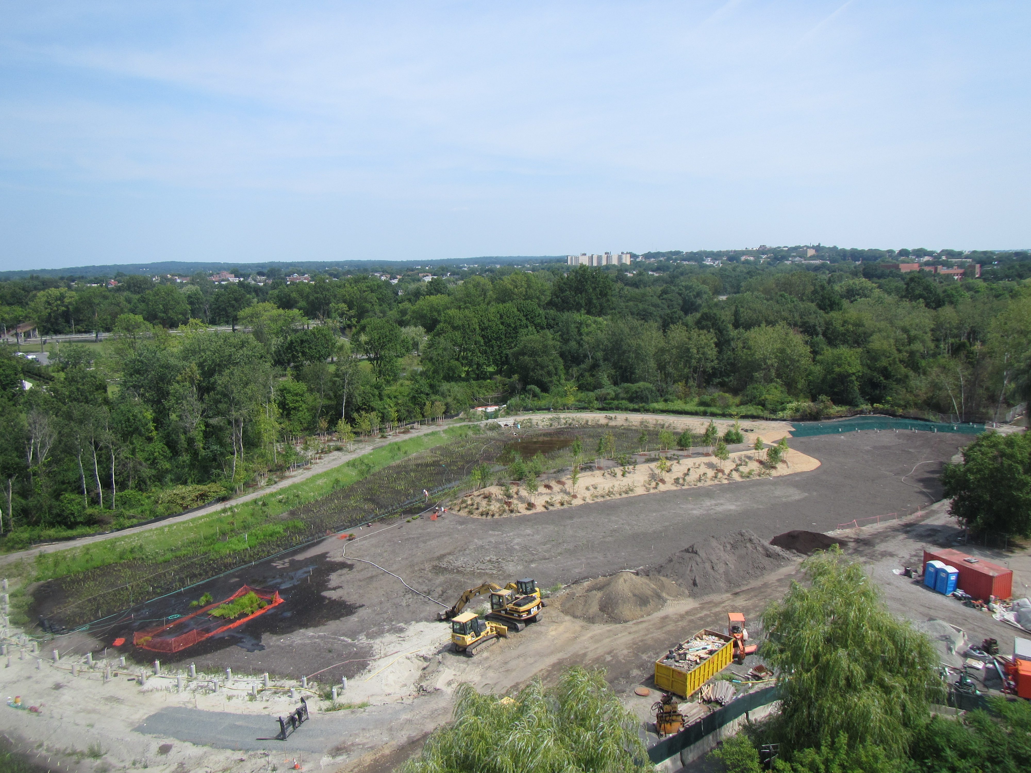 Eastern edge of wetland basin and upland peninsula_August 24 2012